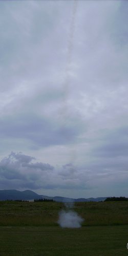 2013 Suche 29062013 Olivera